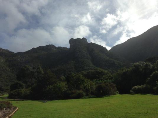 Back on the ground in Kirstenbosch, looking up at where we had just climbed. 