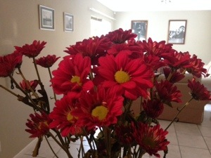 Beautiful flowers to welcome me home! 